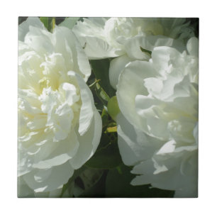 Elegant vit peony-blommigt, vit blomma kakelplatta