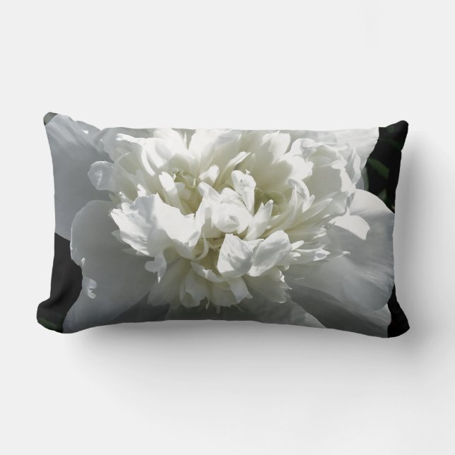 Elegant vit peony-blommigt, vit blomma lumbarkudde (Framsida)