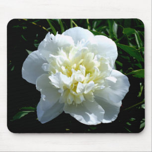 Elegant vit peony-blommigt, vit blomma musmatta
