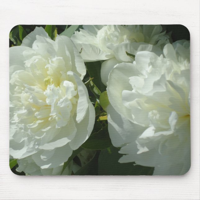 Elegant vit peony-blommigt, vit blomma musmatta (Framsidan)