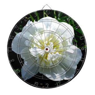 Elegant vit peony-blommigt, vit blomma piltavla