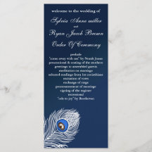 Elegant, vita och blå fredsprogram