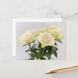 Elegant vita rosor fotografi på grå bakgrund vykort
