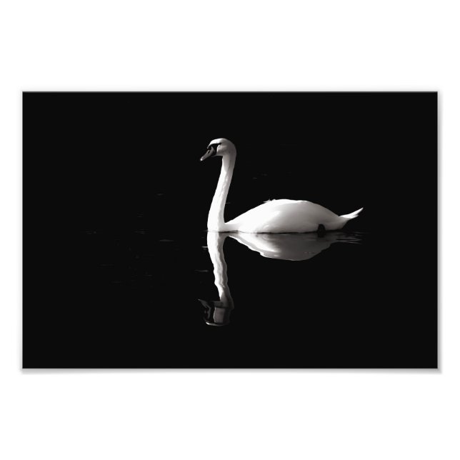 Elegant Vita Svan-reflektion om Svarta Sjö Fototryck (Framsidan)