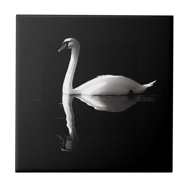 Elegant Vita Svan-reflektion om Svarta Sjö Kakelplatta (Framsidan)