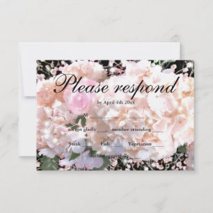 Elegant vita vattenområden rosa ros OSA Kort