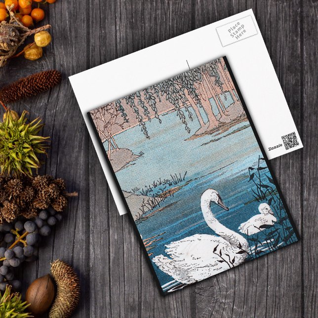 Elegant vitsvan med babyen vykort (Beautiful white swan with baby swimming in blue lake black borders on postcard.)