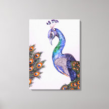 Elegant Watercolor Peacock Rosa