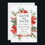 Elegant Watercolor Poinsettia Blommigt Greenery Spara Datumet<br><div class="desc">Elegant Watercolor Poinsettia Blommigt Greenery Save Date Bröllop Annocement Card omfattar röda poinsettias,  eukalyptus löv,  gräs cones,  gräs nål,  bomull,  hollybär och andra vackra botaniska grönområden på vintern. Guld Ram.</div>
