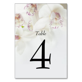 Elegant White and Lila Orchids | BRÖLLOP Bordsnummer