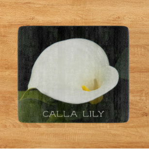 Elegant White Calla Lily Bloom Blommigt