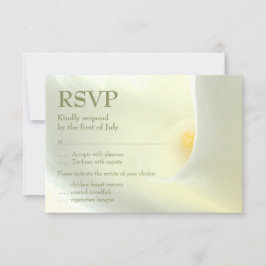 Elegant White Calla Lily OSA kort
