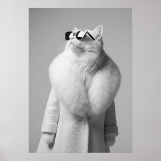 Elegant White Cat in Fur Collar Coat Sunglasses Poster