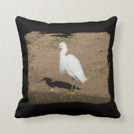 Elegant White Egret Photo Large Vild Bird Kudde