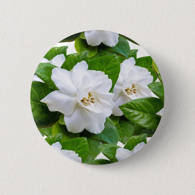 : "Elegant White Gardenia Flowers Button Knapp (Framsida)