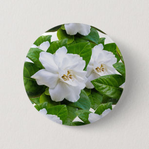 : "Elegant White Gardenia Flowers Button Knapp
