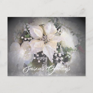 Elegant White jul Poinsettia Vykort