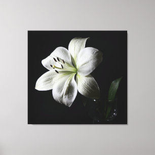 Elegant White Lily Wrapped Canvas Skriv ut