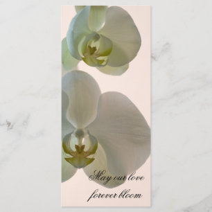 Elegant White Orchid Bröllop Program