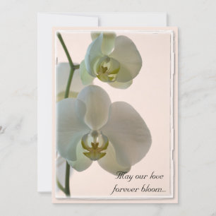 Elegant White Orchids på Rosa Bröllop Inbjudningar