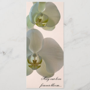 Elegant White Orchids på Rosa Bröllop Program