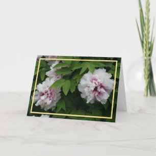 Elegant White Peonies Photo Golden Ram Sympathy Kort