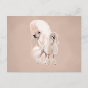 Elegant White Pudel Pastel Collage Vykort