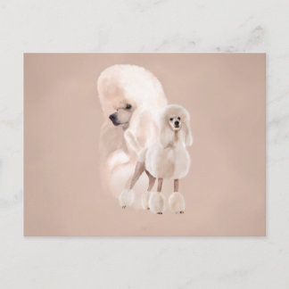 Elegant White Pudel Pastel Collage Vykort