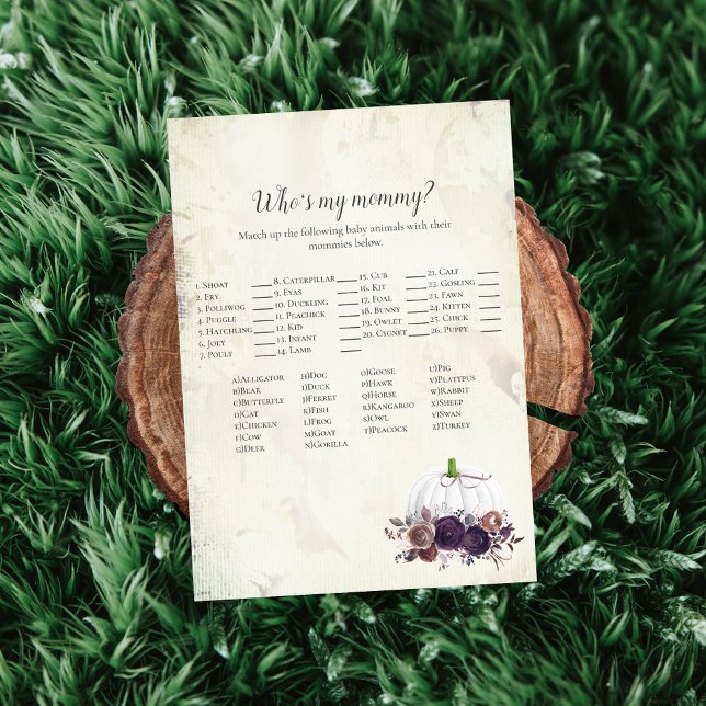 Elegant White Pumpkin Vem är min Mamma Game? Inbjudningar (Skapare uppladdad)