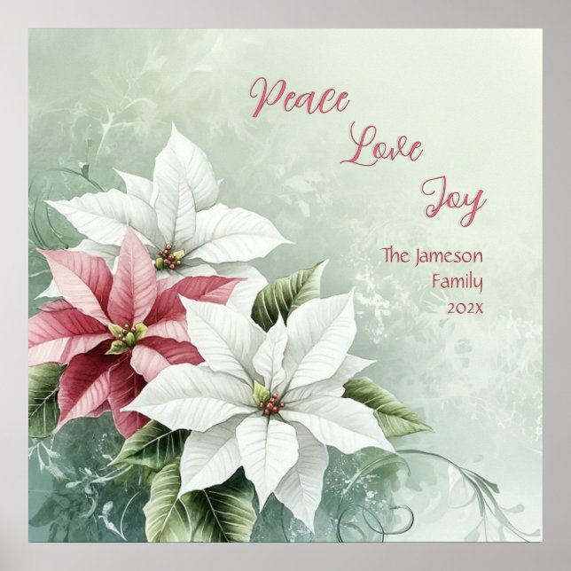 Elegant White Rosa jul Poinsettias Poster (Framsidan)
