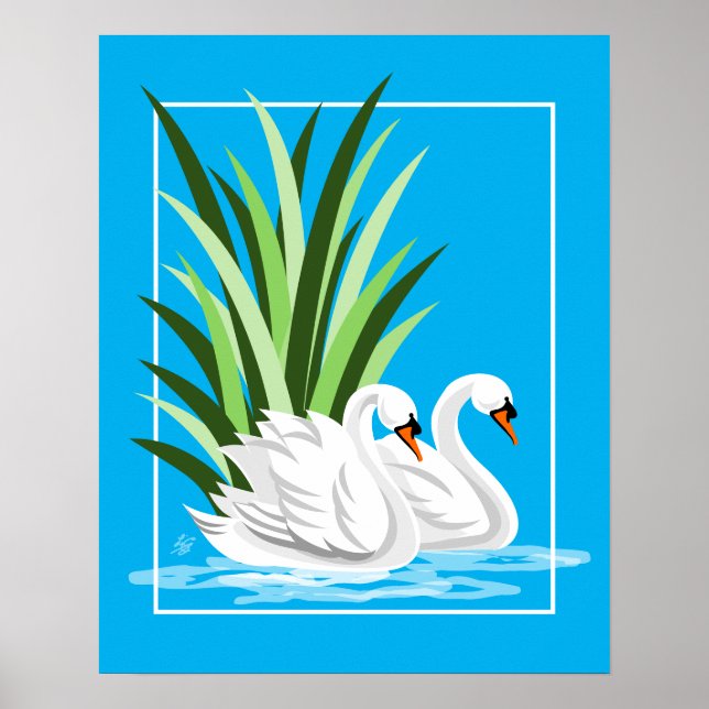 Elegant White Svanar på Blå Vatten Poster (Framsidan)