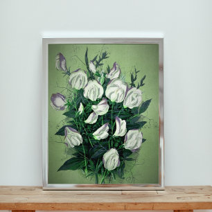 Elegant White Sweet Pea Flowers Fototryck