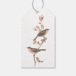 Elegant Winter Birds vid Gren med Berries Presentetikett