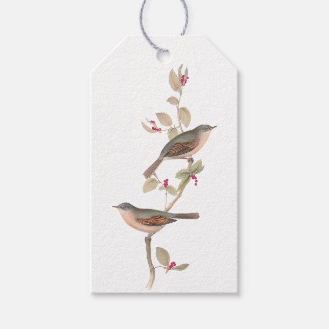 Elegant Winter Birds vid Gren med Berries Presentetikett (Framsidan)