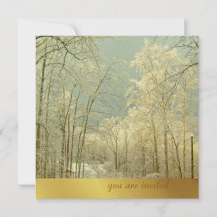Elegant Winter Wonderland, julinbjudningar Inbjudningar