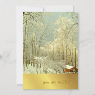 Elegant Winter Wonderland, julinbjudningar Inbjudningar