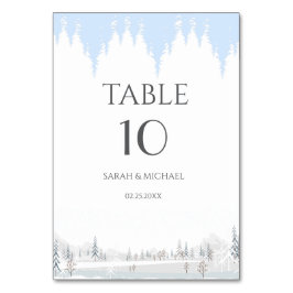 Elegant Winter Wonderland Snöflingor Bordsnummer