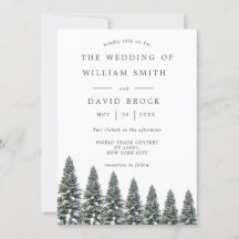 Elegant Winter Wonderland Snöflingor bröllop