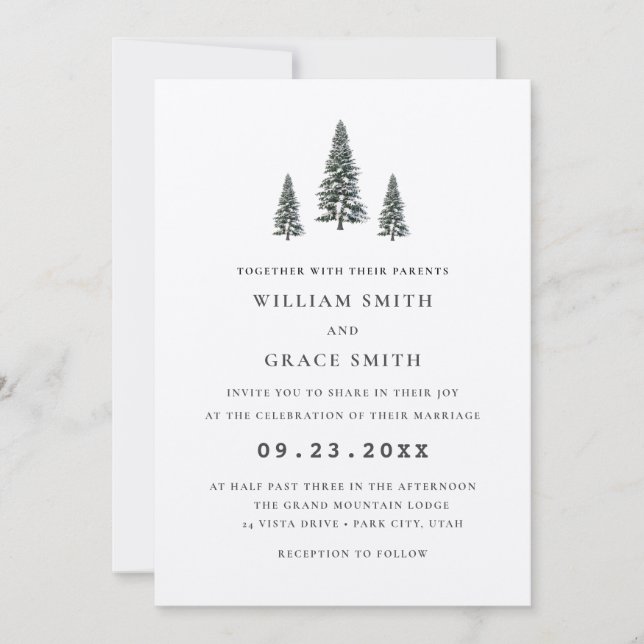Elegant Winter Wonderland Snöflingor bröllop Inbjudningar (Framsida)