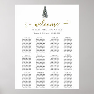 Elegant Winter Wonderland Snöflingor bröllop Poster