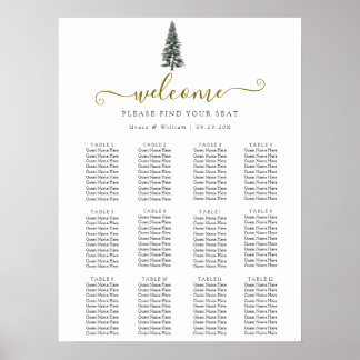Elegant Winter Wonderland Snöflingor bröllop Poster