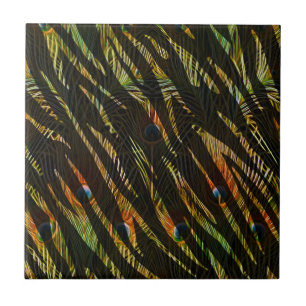 Elegant Zebra Rand Animal Print Peacock Feathers Kakelplatta