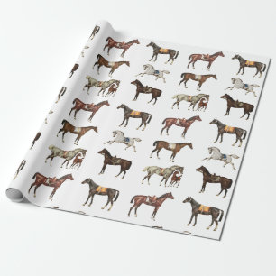 Eleganta antika sadlade hästar bruna vita presentpapper