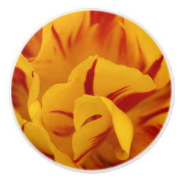 Eleganta blommande röda och gyllene Monsella tulpa Knopp