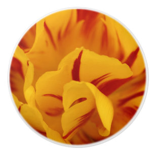 Eleganta blommande röda och gyllene Monsella tulpa Knopp
