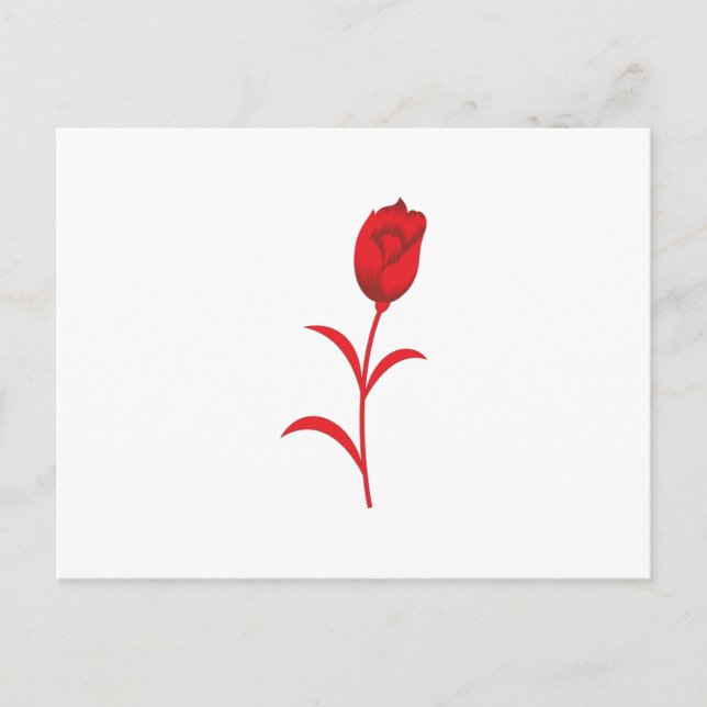 Eleganta bröllopsdetaljer | Sommar och året runt Vykort (Framsida)