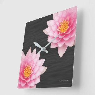 Eleganta flytande rosa lotusblommor fyrkantig klocka