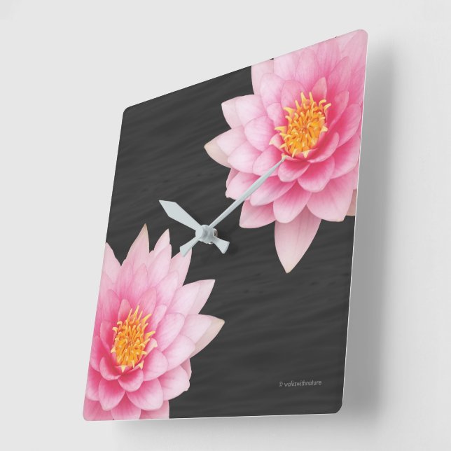 Eleganta flytande rosa lotusblommor fyrkantig klocka (Vinkel)