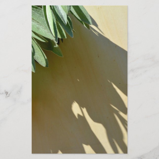 Eleganta gröna botaniska blad Färskskurna örter Brevpapper (Framsida)
