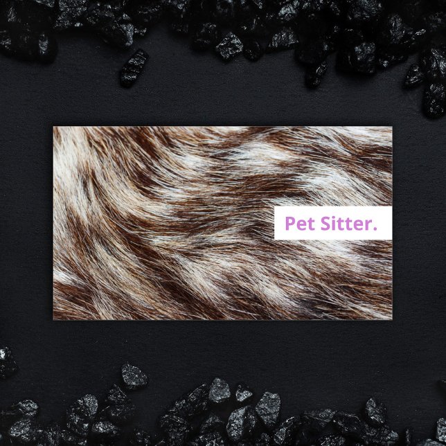 Eleganta husdjurs-sittande visitkort Hund och katt (Bold Lilac lavender purple Pet Sitter business card, dog walking professional grooming animal care.)